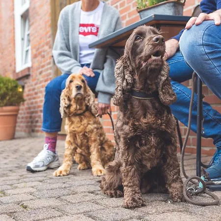 Szálloda Landart Sittensen